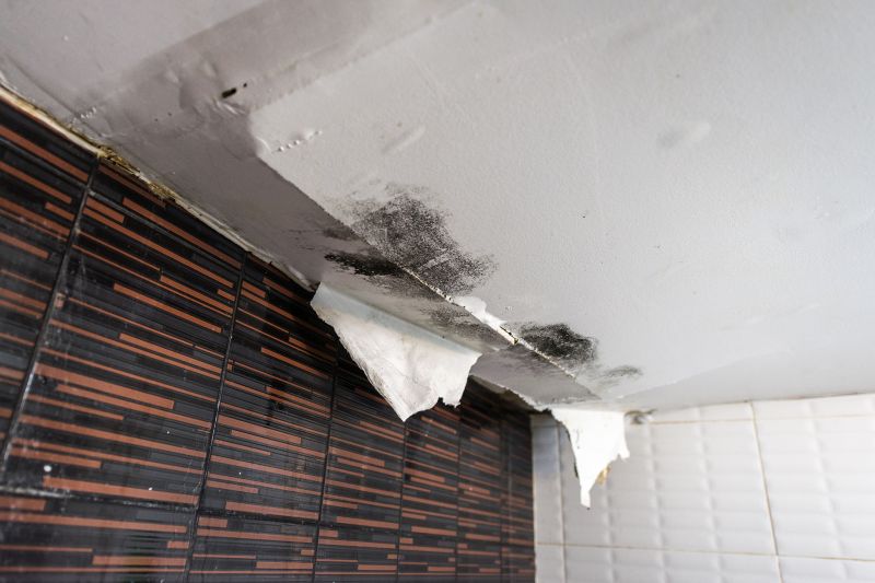 Bathroom Water Damage Repair in Katy, TX