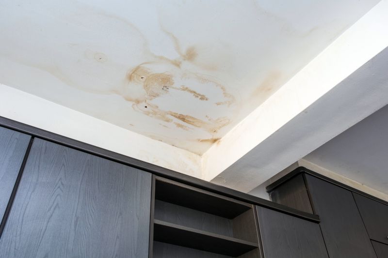 Leaking Ceiling Repair in Alpharetta, GA
