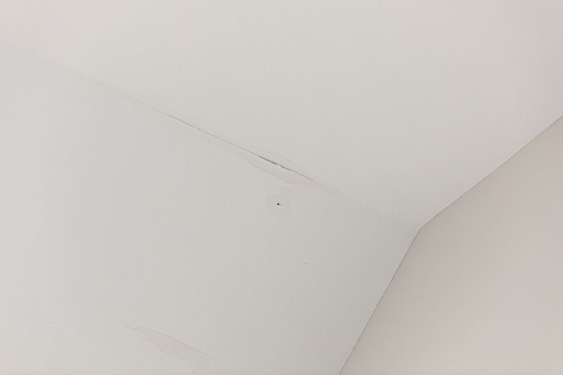 Attic Water Damage Repair in Alpharetta, GA
