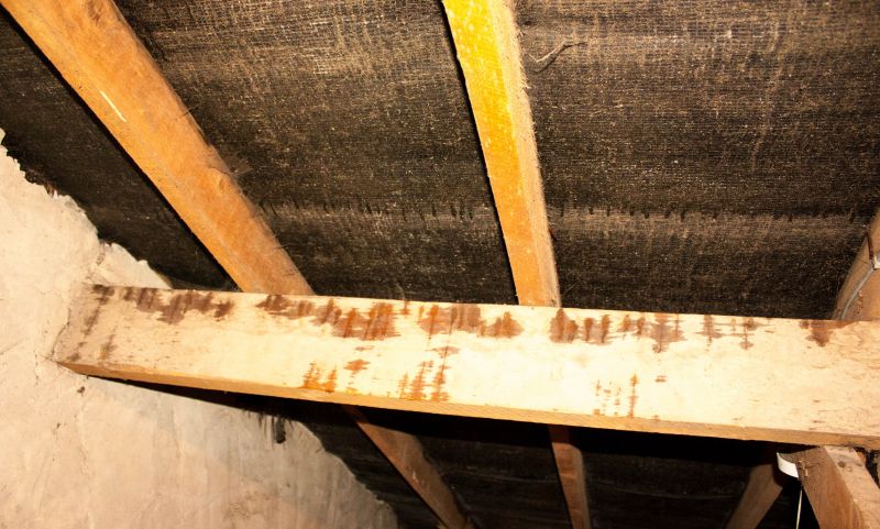 Attic Water Damage Repair in Denver County, CO