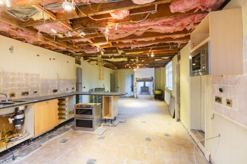 Ceiling Removal Service in Denver County, CO