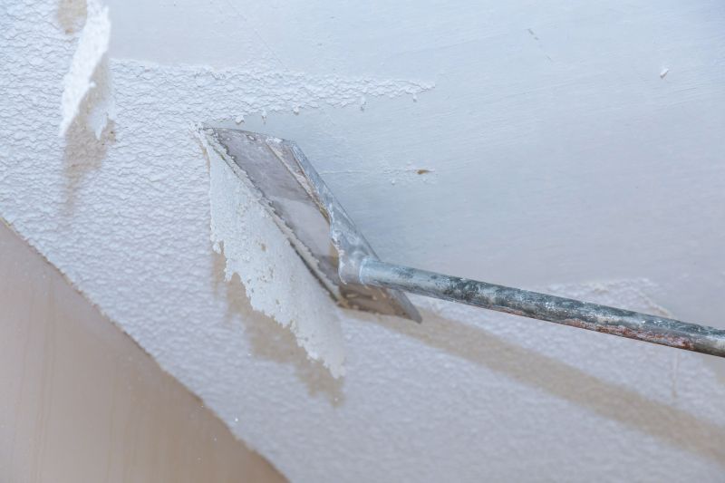 Ceiling Removal Service in Houston, TX