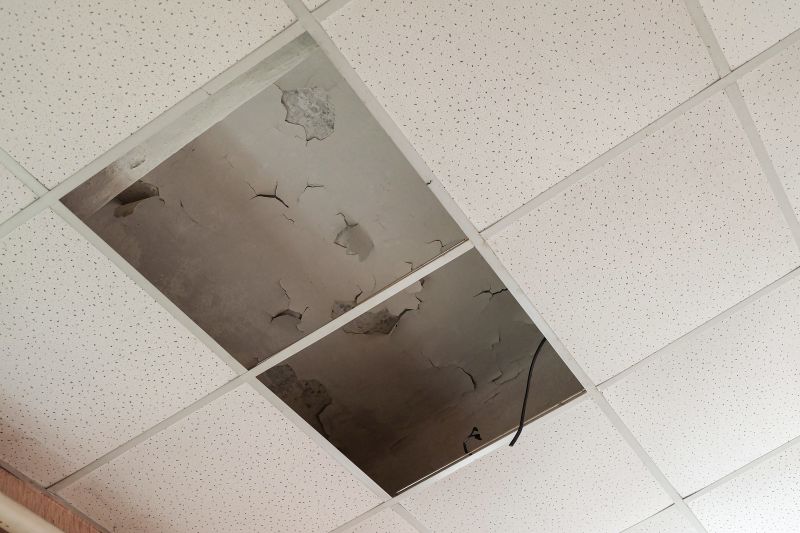Leaking Ceiling Repair in Denver County, CO