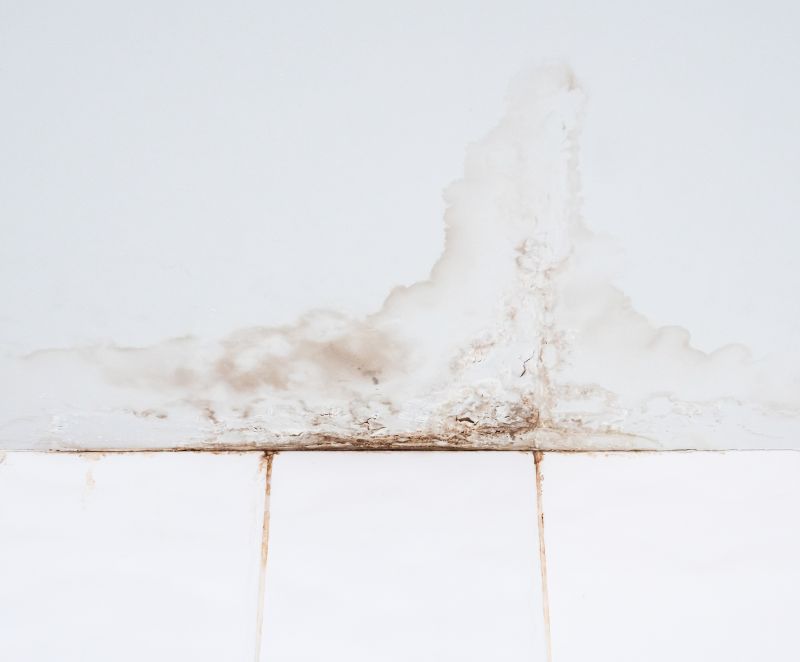 Water Damage Ceiling Repair in Denver County, CO